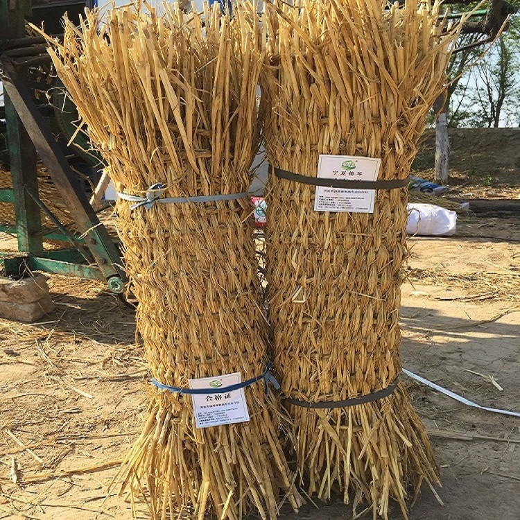 寧夏小优视频破解版子
